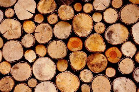 WOOD - EARTHLY BEADS ®